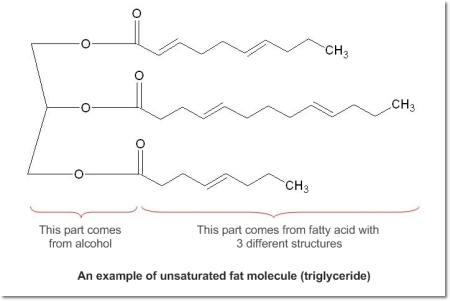 An example of unsaturated fat molecule (triglyceride)